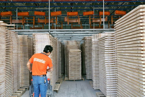 联圆世家的新品牌之路 创始人半路出道,20个月做到拼多多家具行业第一